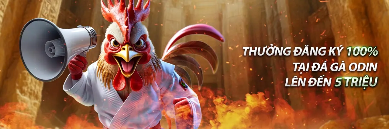 Các trò chơi đa dạng tại ffok81